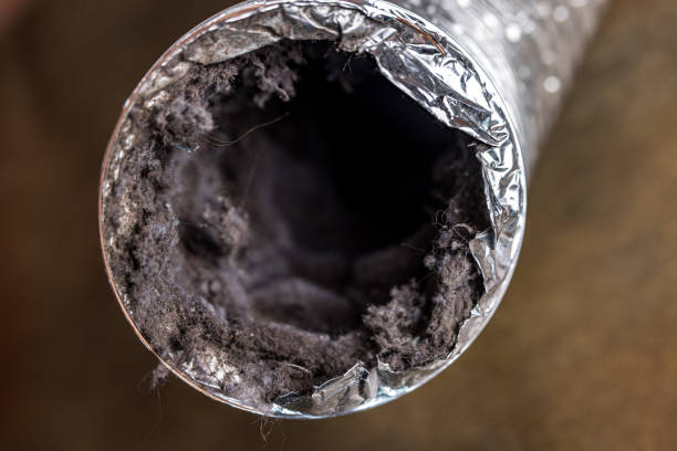 Best Affordable Duct Cleaning Services  in Nambe, NM